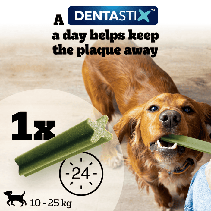 Pedigree Dentastix Fresh Daily Medium Dog chews graphic advertising the treat is designed for medium dogs and helps keep plaque away.
