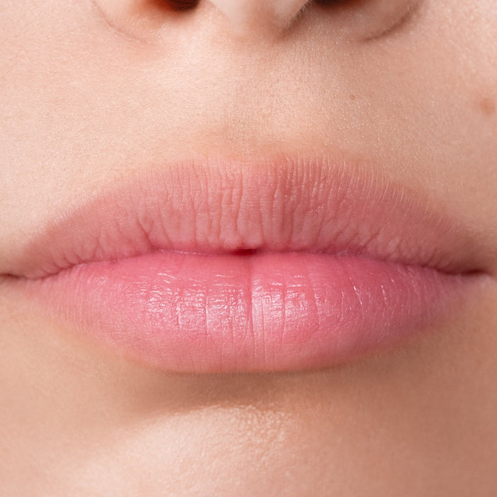 ÂN-GLOSS Ceramide Lip Trio