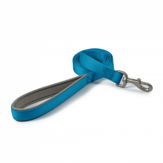 White background with a blue Ancol Padded lead with a metal clip on the end.