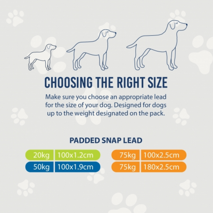 White background with a size guide for an Ancol padded lead with an illustrated dog, showing how to choose the right lead for your dog.