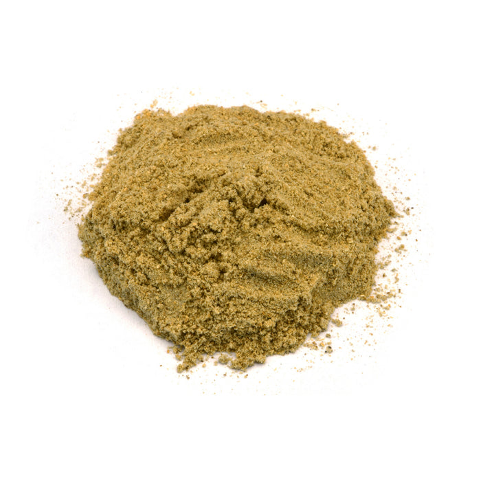 Angelica Root