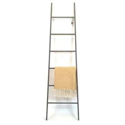 Black Metal Ladder Display