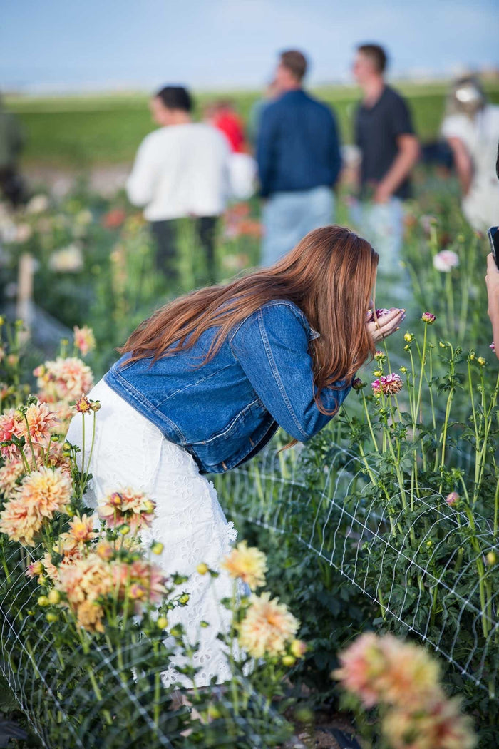 Bloomstead Dahlia Festival Dinner - Thursday August 27, 2026
