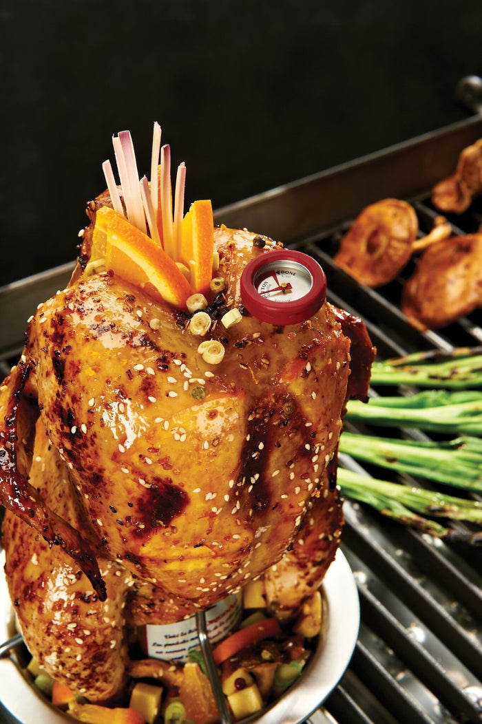 Broil King Chicken Roaster - Select