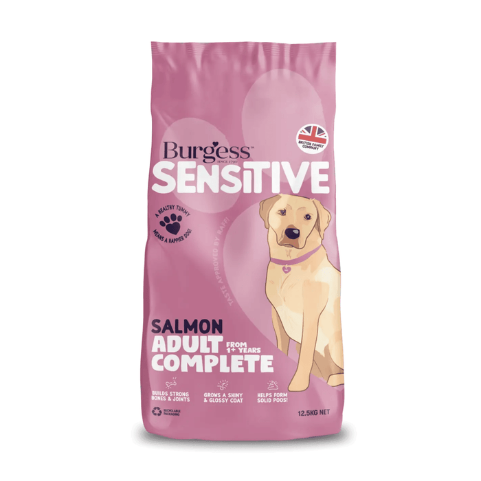 White background with a pink bag of Burgess Sensitive Adult dry food. On the bag is a illustration of a golden Labrador dog. Text on the bag reads 'Burgess Sensitive, Salmon Adult Complete, from 1+ years'.