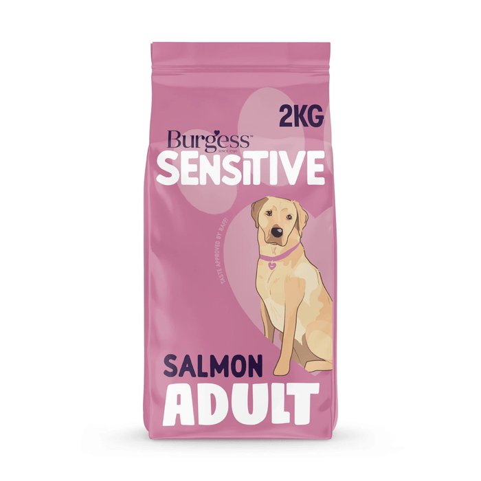 White background with a pink bag of Burgess Sensitive Adult dry food. On the bag is a illustration of a golden Labrador dog. Text on the bag reads 'Burgess Sensitive, Salmon Adult Complete, from 1+ years'.