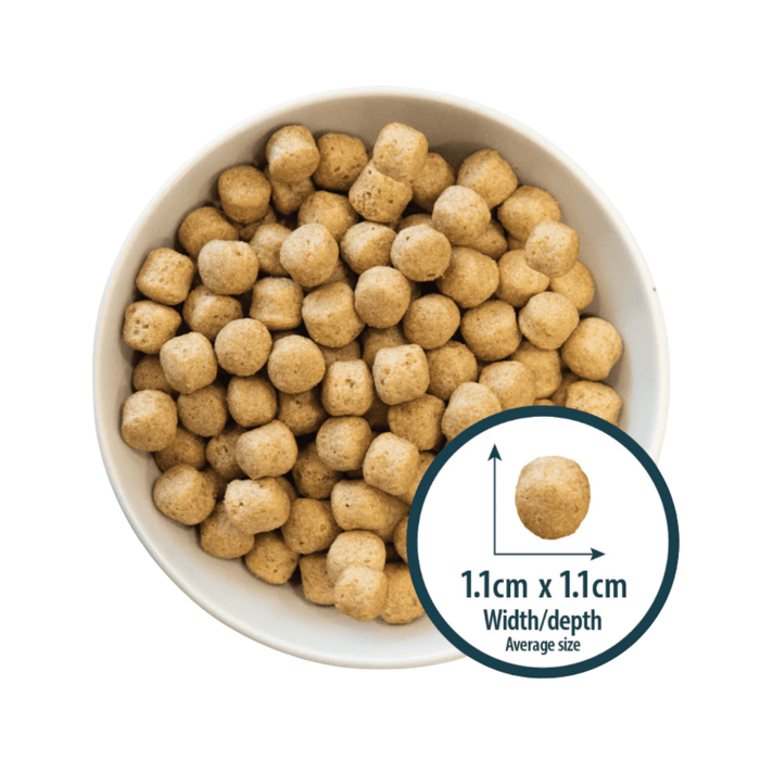 White background with a white bowl of dry dog food and a circle with a close up picture of a single kibble with the size displayed beneath '1.1cm x 1.1cm, width/depth, average size'.