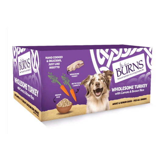 White background with a purple box of Burns Wholesome Turkey Wet Dog Food made with Carrots & Brown Rice. Pictured on the box is a marl collie dog with illustrations of turkey pieces, carrots and a bowl of rice.