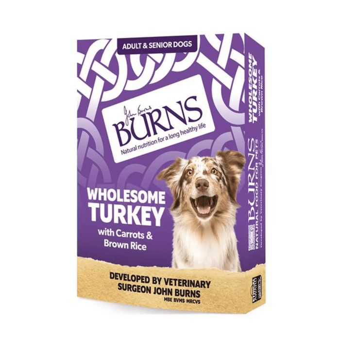 White background with a single packet of Burns Wholesome Turkey Wet Dog Food made with Carrots & Brown Rice. Pictured on the box is a marl collie dog.