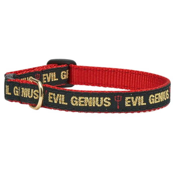 EVIL-GENIUS-CAT-COLLAR