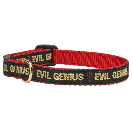 EVIL-GENIUS-CAT-COLLAR