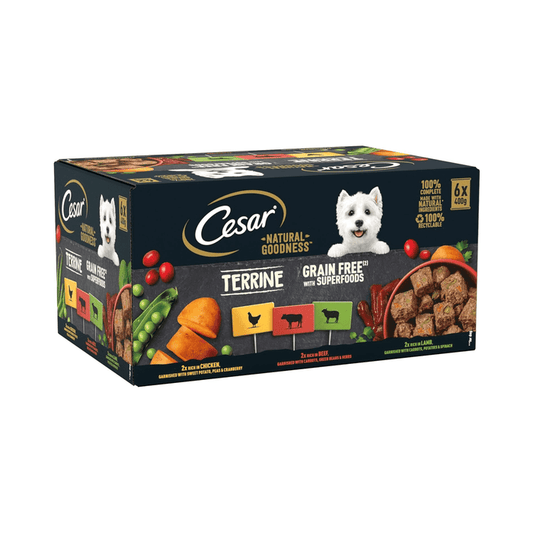 White background with a box of Cesar Natural Goodness Loaf tinned dog food, pictured on the front is a white West Highland terrier.