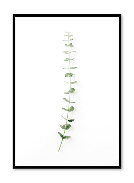 Minimalistic wall poster by Opposite Wall with eucalyptus stem photography