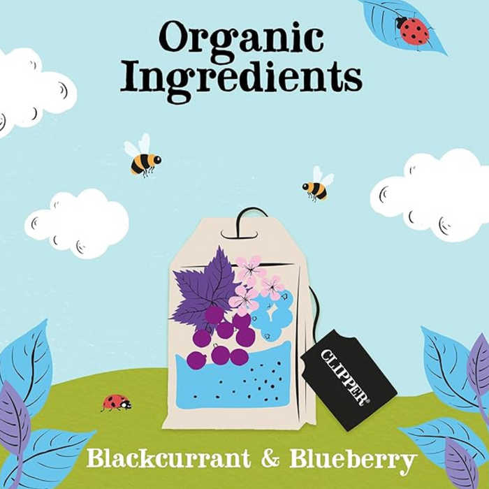 Clipper Organic Blackcurrant and Blueberry Infusions 20 Sachet