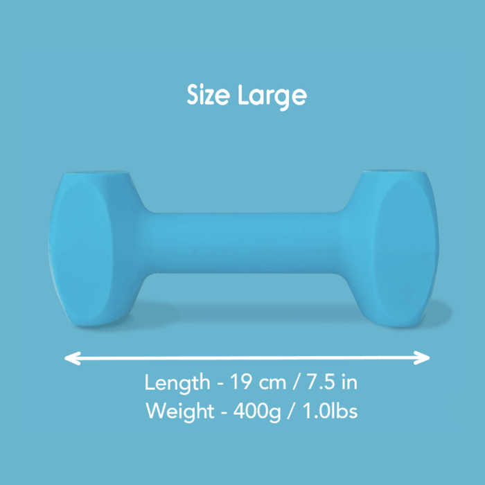 Blue background with a Large turquoise Coachi Training Dumbbell dog toy, with measurements below indicating length of 19cm.