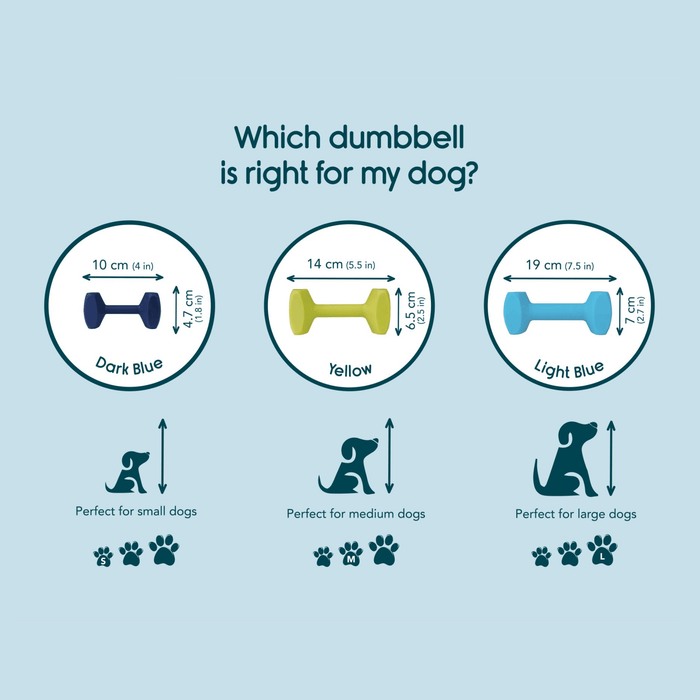 Pale blue background with three Coachi Training Dumbbell dog toys, with measurements below for each and what size dog they are suitable for.