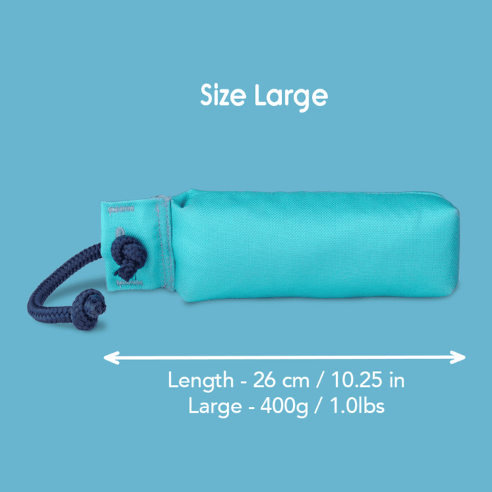 Blue background with a Large turquoise Coachi Training Dummy dog toy with a blue handle, with measurements below indicating length of 26cm.