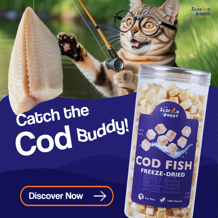 Cod Fish Cubes 100G | Gentle on Tummies & Easy Digestion | Lean Protein | Cat & Dog