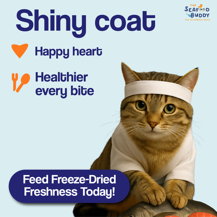 Cod Fish Cubes 100G | Gentle on Tummies & Easy Digestion | Lean Protein | Cat & Dog