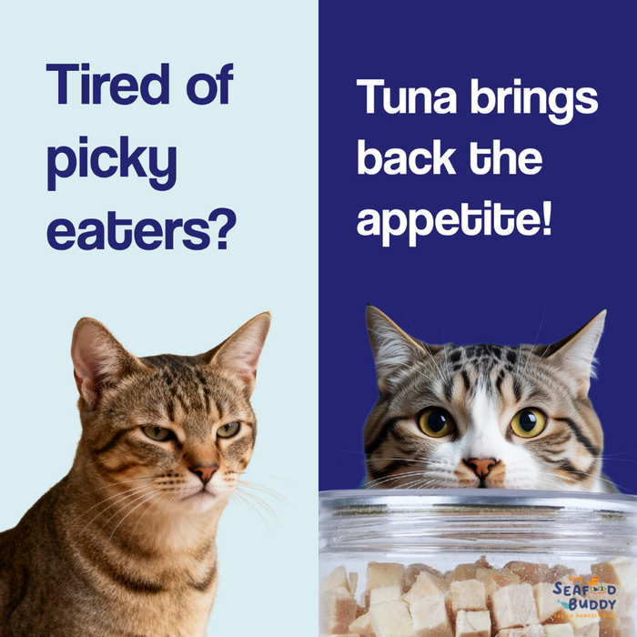 Cod Fish Cubes 100G | Gentle on Tummies & Easy Digestion | Lean Protein | Cat & Dog