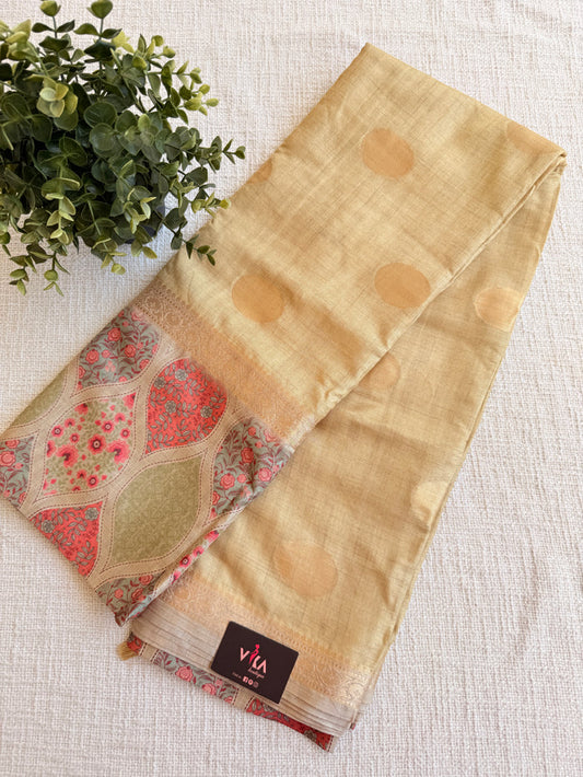 Coin bhutta digi border raw tussar saree