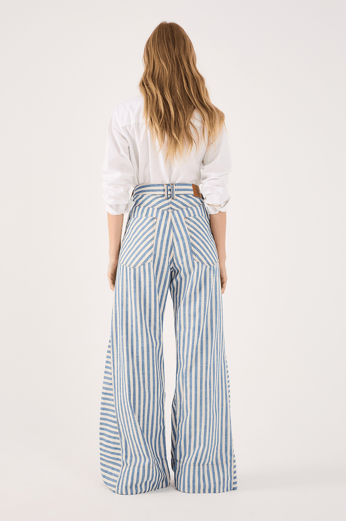 Denim Stripe Twill Pants_5