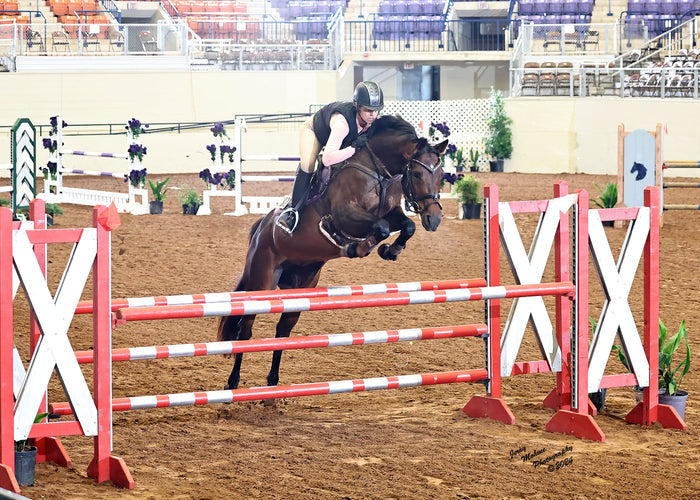 Dignified Competition Breeches - Knee Patch Silicone