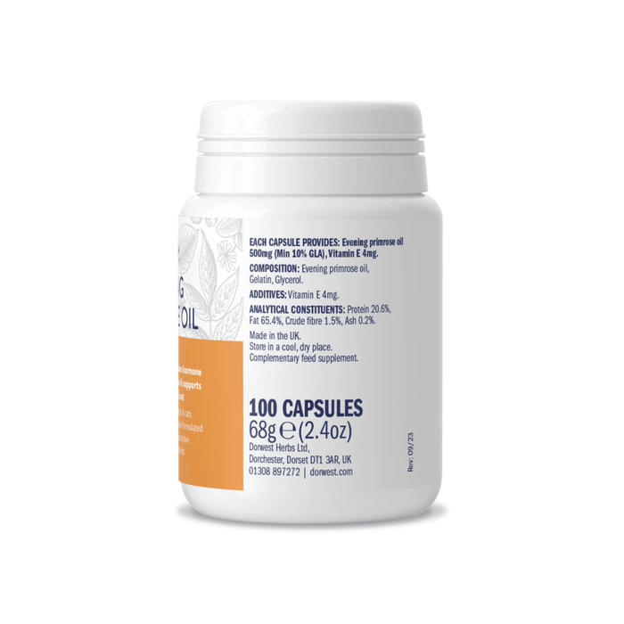 White background with a back view of a white tub of Dorwest Evening Primrose Oil tablets.