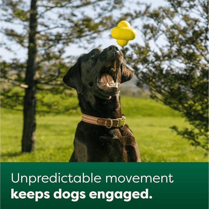 Chocolate Labrador jumping to catch a yellow Earth Rated Fetch dog toy in a outside setting, with text below 'Unpredictable movement keeps dogs engaged.'