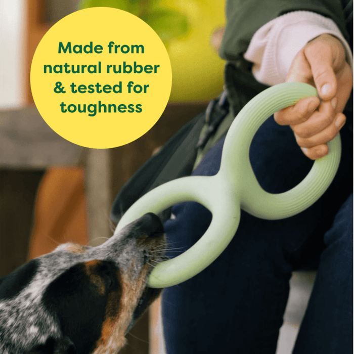 Person holding one end of a pale green Earth Rated Tug dog toy with a tri-coloured Kelpie dog holding the other end.