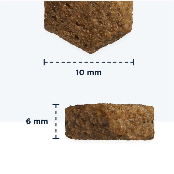 Eukanuba Small Adult Dry Food Fresh Chicken info graphic