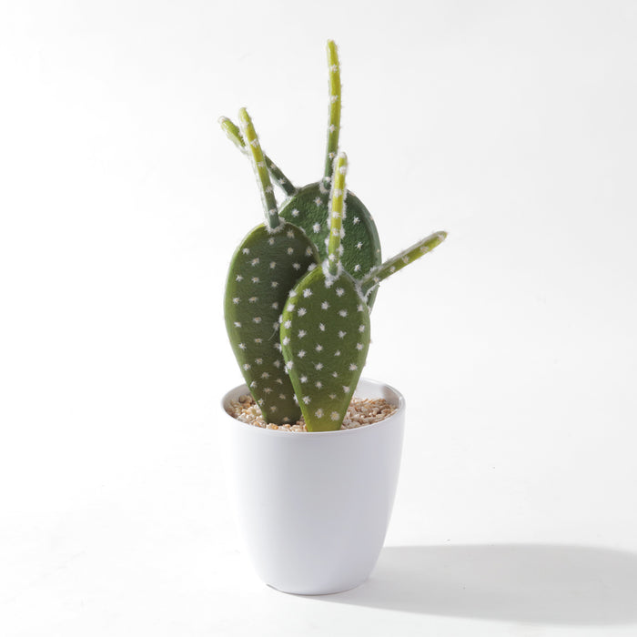 Flourish Faux Potted Succulent A (6623052595279)
