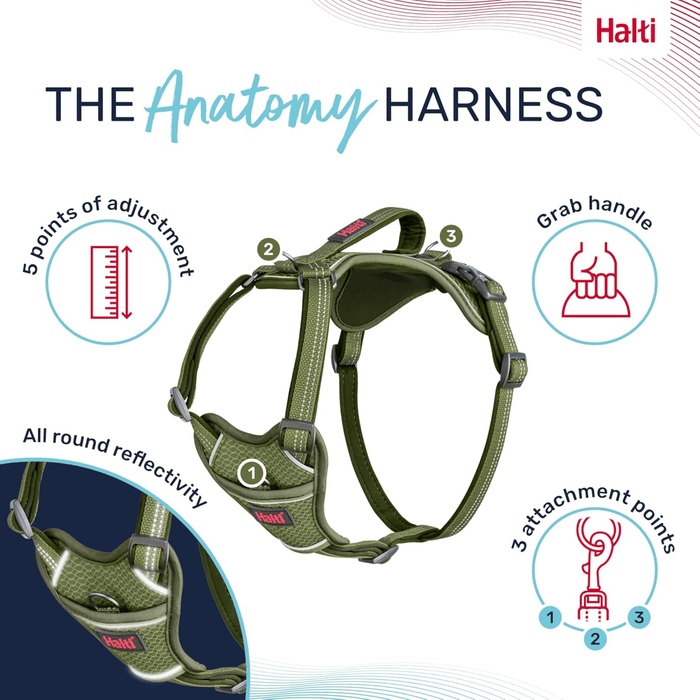 White background with a Teal Halti Anatomy Harness with a metal clips and loops, with features listed around it.