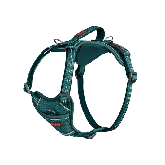 White background with a Teal Halti Anatomy Harness with a metal clips and loops.