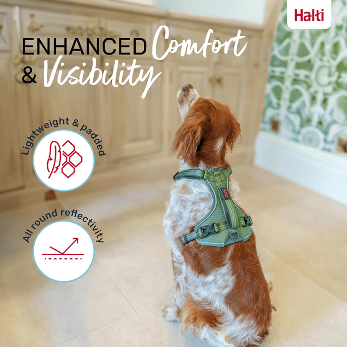 Brown and white spaniel type dog wearing a green Halti Anatomy Harness with a metal clips and loops, sat in a kitchen, with features of the harness listed.