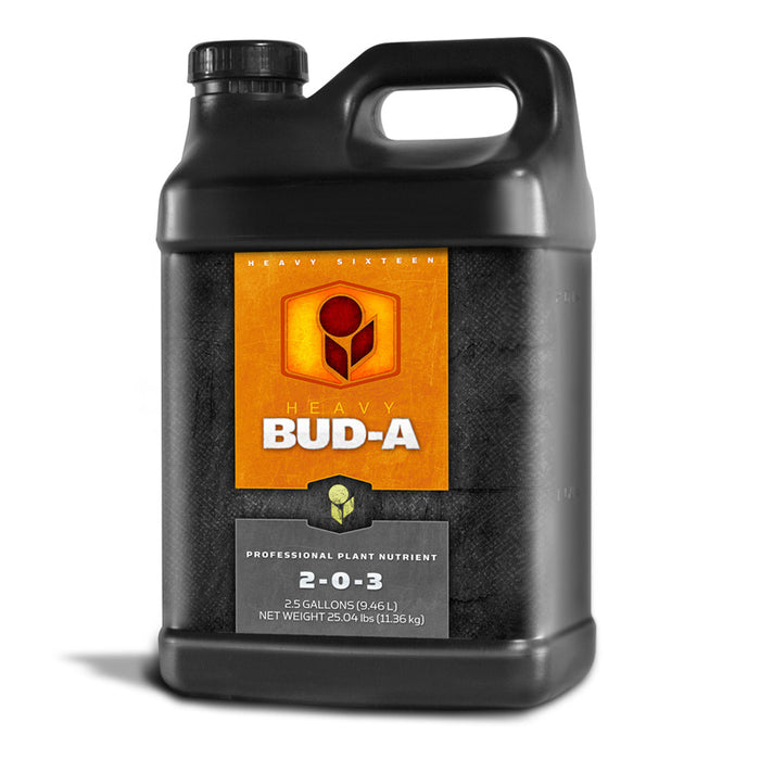 Heavy 16 Bud A, 2.5 gallon