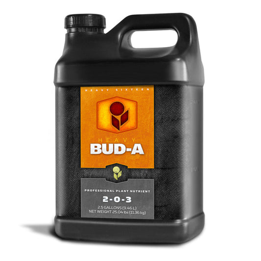 Heavy 16 Bud A, 2.5 gallon