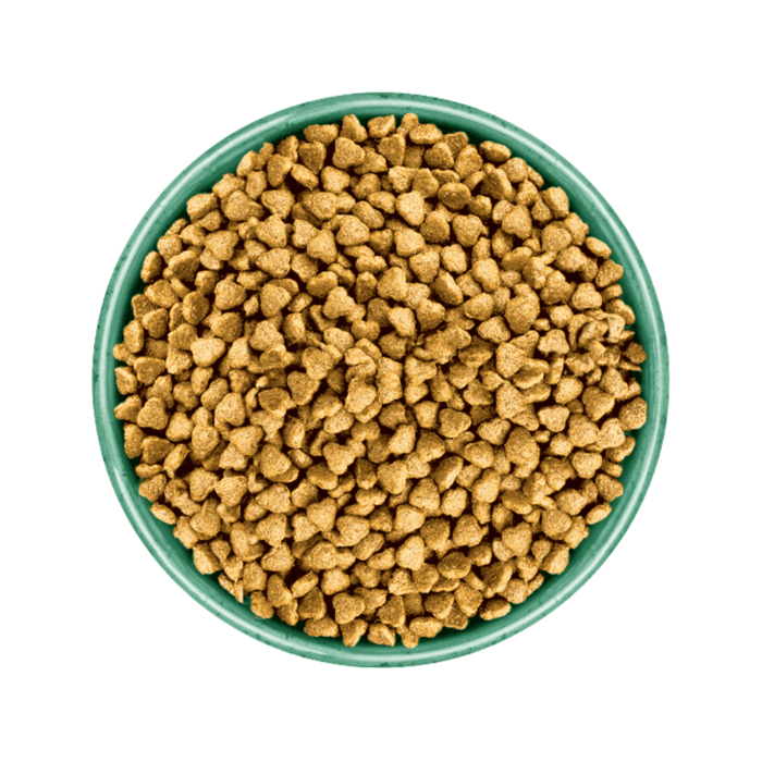 White background with a green bowl pictured filled with dog food kibbles.