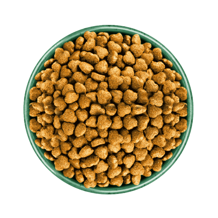 White background with a green bowl pictured filled with dog food kibbles.