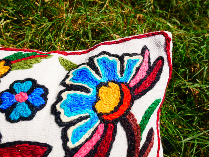 Kashmiri Embroidery pillow "Duanz Dar" Crewel Pillow Covers: Handcrafted by Artisans 16x16 inches