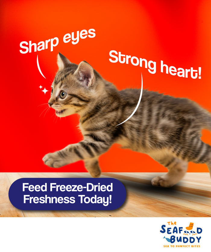 Krill Bites 100G | Healthier Skin, Shinier Coat & Stronger Joints | Omega-3 Superfood for Cats & Dogs