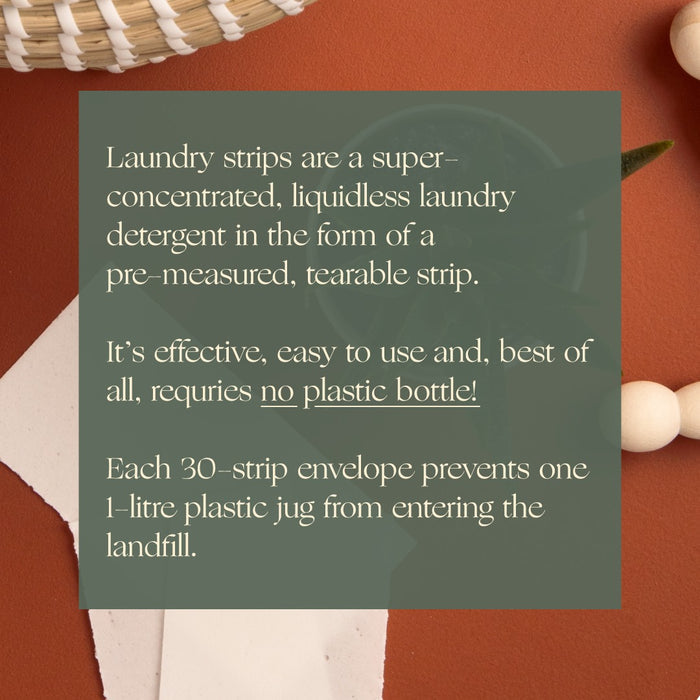 Laundry Detergent Strips (sold as case of 10)- Unscented
