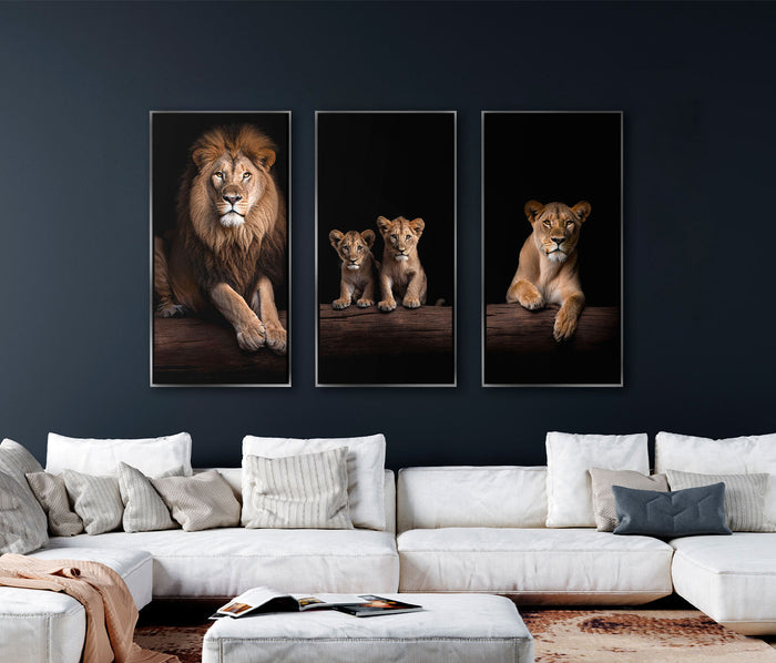 Lion Family Portrati 3 Peice wall art