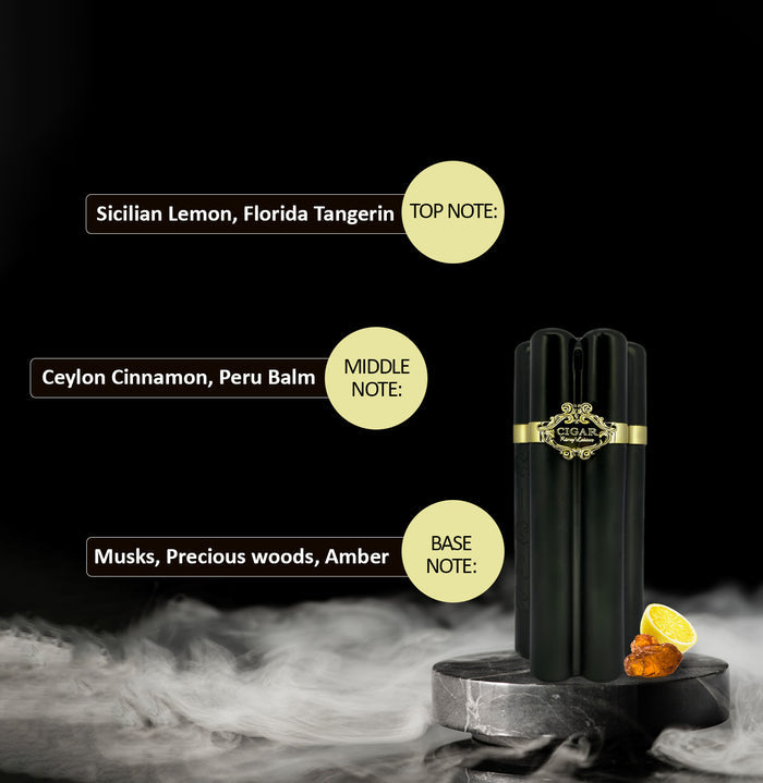 Lomani Cigar Black Oud Perfume For Men, 100ml Long Lasting