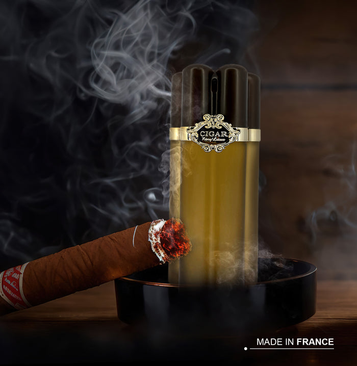 Lomani Cigar Brown Perfume For Men, 100ml Long Lasting