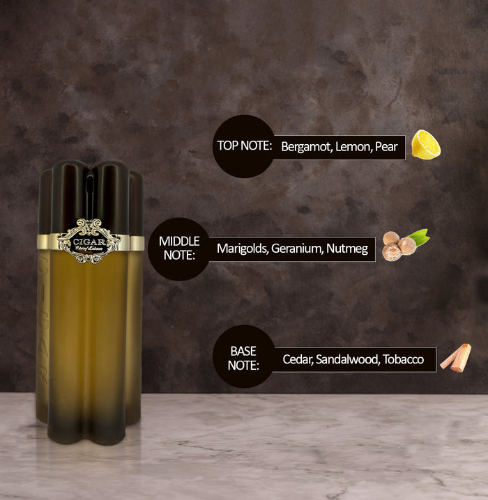 Lomani Cigar Brown Perfume For Men, 100ml Long Lasting
