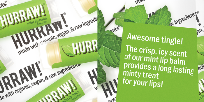 Mint Lip Balm