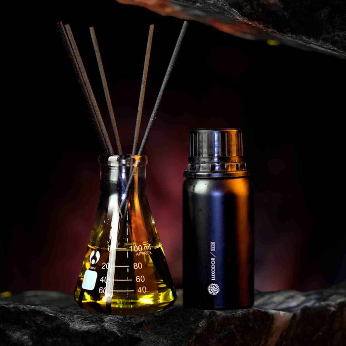 Our Creation of Paco Rabanne's Black XS L'Exces for Him