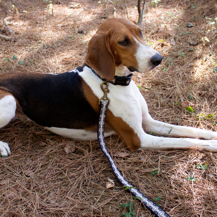 PENDLETON-DOG-COLLAR-LEASH-HARDING-BROWN