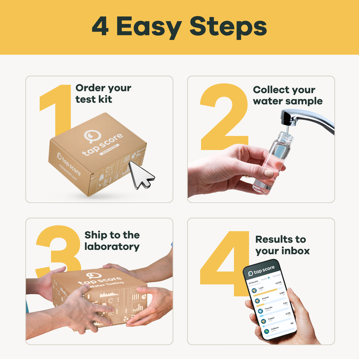 4 Easy steps explained. Order kit. Collect sample. Ship to lab. You get results in your inbox.
